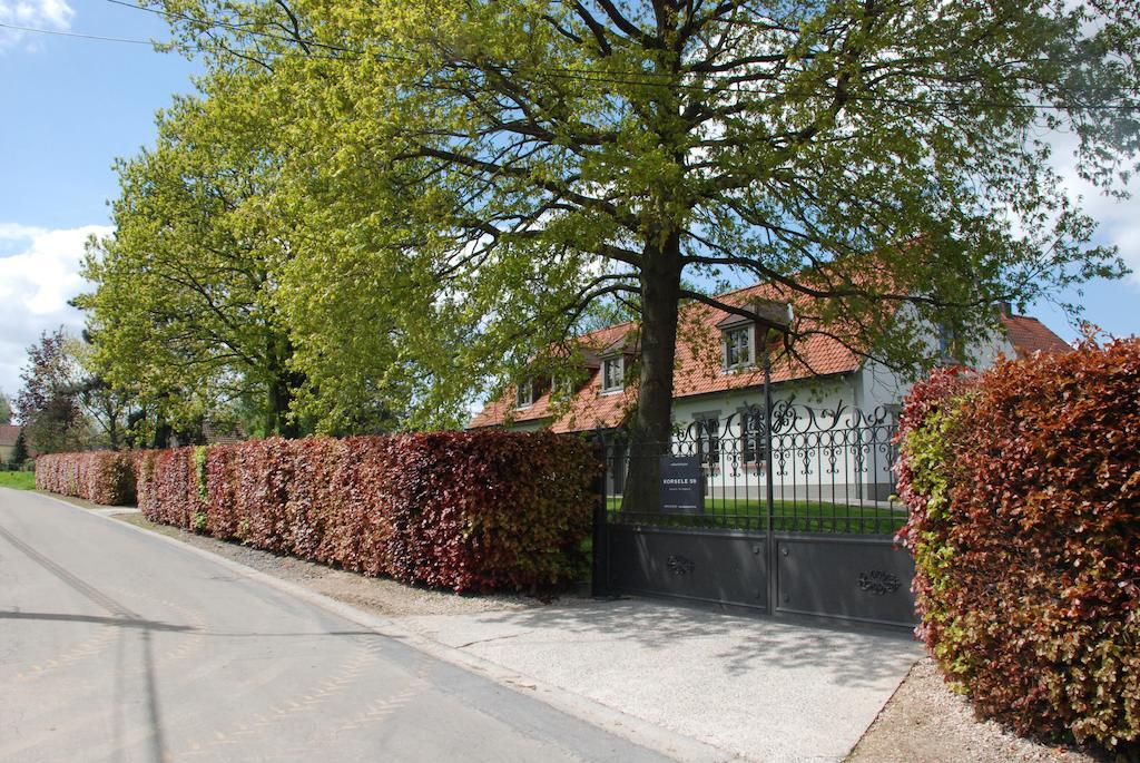 B&B Korsele 59 Horebeke Exterior foto
